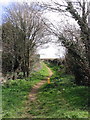 Green Lane, near Bridport