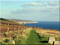 SY9675 : South West Coast Path at St. Aldhelm's Head by Stephen Williams