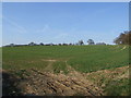 Field at the back of Stopsley Holes Farm