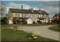 Terraced houses in Reed village