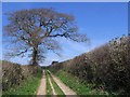 Bridleway