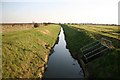 Bransby Drain