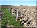 Ploughed field near Carrsides Farm