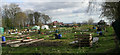 Allotments in Tofts Road