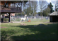 Llama Enclosure, Shepreth Wildlife Park