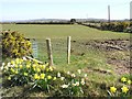 Legatoneagan Townland