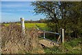 Footpath from Spring Lane