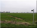 Footpath to Welbourn