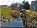 The Lagan at Finnis - upstream