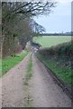 ST9605 : Farm track near Hemsworth by Toby