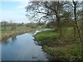 River Cole heading East to Coleshill