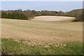SU5821 : Chalkland arable field, Corhampton Forest by Jim Champion