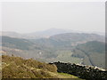 Valley of Afon Dwynant