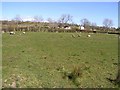 Farm Buildings at Garvagh