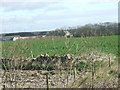 View to Yonderton Farm