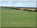 Farmland near Hatton