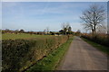 Road past Little Green Farm