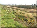 Bourne Valley Nature Reserve