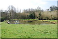 Pond in East Hatch