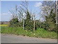 Footpath at the lane end