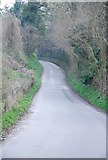 ST9321 : The road up Ferne Hollow by Toby