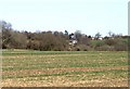 Across the fields west of Folly Town crossroads