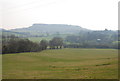 Downland between West Hatch and East Hatch