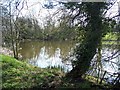 SO7992 : Fishing Pond, Beobridge by Geoff Pick