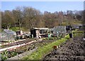 Allotments, Taylor Hill Road, Taylor Hill, Almondbury