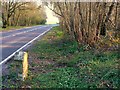 A view south along the A343 Hants towards Andover