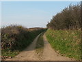 Lane near Tancredston