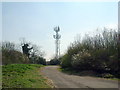 Aerial array at Coales