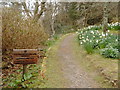 Lochalsh Woodland Garden Path