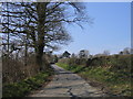 Lon Wledig ger Little London / Country Lane near Little London