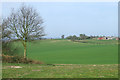 Cereal Crop Field near Pepperhill, Shropshire