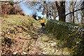 Steep path up from Ley Combe