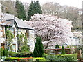 Easter floral display in Caernarfon Road