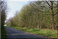 Road through Tingewick Wood