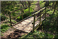 Footbridge on the edge of Lenborough Wood