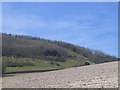 Newly ploughed field, South Stoke