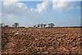 Ploughed field adjacent to the A41