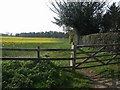 View towards Wigmore Wood