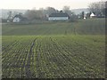 Farmland and the edge of Upavon