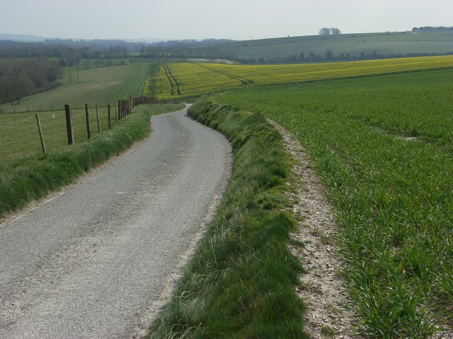 Lane and farmland, Enford Zigzagging stretch of the lane leading to Enford Farm. 