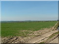 View across fields east of Burton Fleming