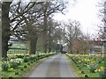 Driveway from Black Ladies Priory