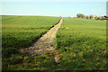 Footpath near Boyton End