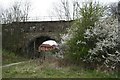 Railway Bridge Framed by Blackthorn & Hawthorn.