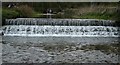 Weir on The River Clywedog, Felin Puleston