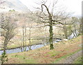 Footbridge across Afon Glaslyn